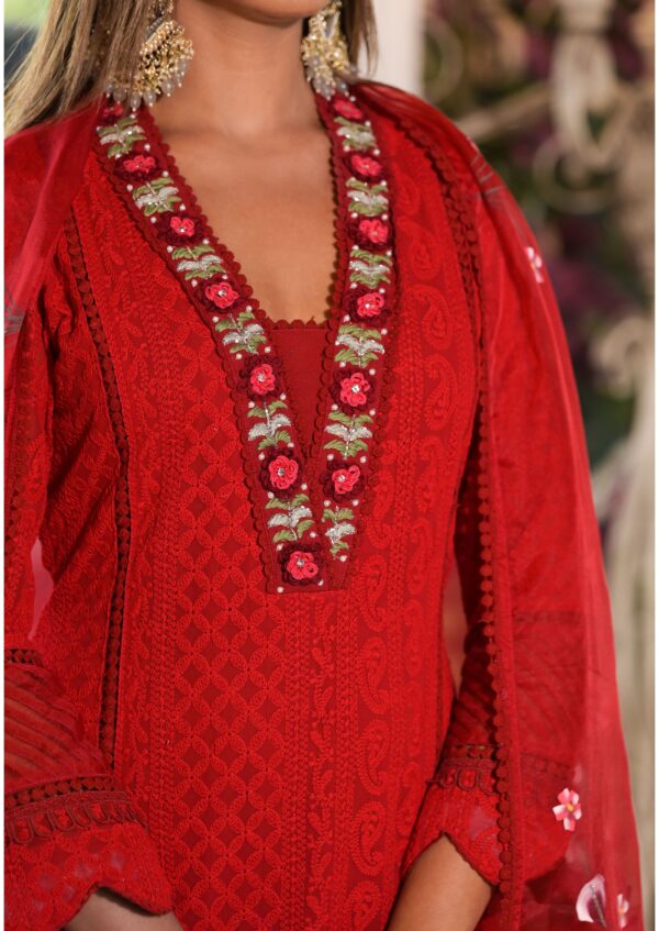 Cherry elegance kurta set with hand painted dupatta